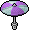 Violet Parasol